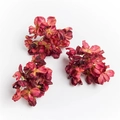 Artificial hydrangea flower petals in gradient red and deep purple for DIY crafts - Dark Red