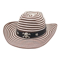 Handwoven straw cowboy hat with striped pattern and silver skull decorative band - Coffee & White Striped with Wind Rope (White Skull)