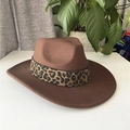 Detailed view of the leopard print band on the brown wool fedora with a wide brim - One Size / Coffee