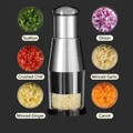 Manual stainless steel garlic press with silver handle and vegetable chopping results - 304 Stainless Steel / Metal Model