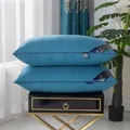 Set of two navy blue brushed fabric hotel pillows with elegant Hilton brand piping - Blue / 48*74cm (Low 550g)