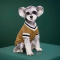 Gilet en tricot camel col V pour chiens style preppy pour les petits chiens de mode - XS / Kaki