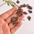 3,5 cm fächerförmiger Bronze-Muschel-Anhänger für kreatives Basteln und Zubehör - Krone 100 Stück/Beutel / Bronze