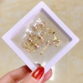 Elegant gold reindeer brooch with champagne pearls and crystals in a white display box - Elk Style (XZ016 Gold)