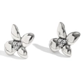 Silver flower stud earrings featuring clear zircon stones in a polished metal finish - White Diamond Flower (E7870) / Steel