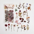 Vintage PET pressed flower stickers 40pcs set for DIY scrapbooking and journals - Pressed Flower Diary