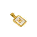 18k gold plated stainless steel rectangle Pisces zodiac necklace with white shell inlay - Pisces