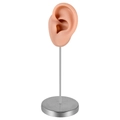 Flesh-colored silicone ear model for right ear on a silver metal display stand - Left Ear / Coffee
