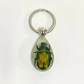 Green and gold insect specimen teardrop resin keychain with silver metal ring - Emerald Beetle
