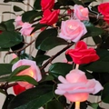 Vista macro di rose LED in schiuma rosa e rosse su ramo con calda luce scintillante - 1.5M 10LED-Batteria-Luce Fissa / Rosa + Rosso