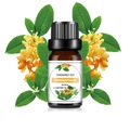 10ml Osmanthus wasserlösliches Duftöl in brauner Glasflasche für Luftbefeuchter - Osmanthus Duftöl