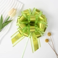 Close-up of a green organza and metallic ribbon pull bow for gift packaging decoration - Light Green