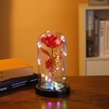 Product 6