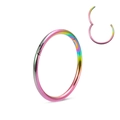 Rainbow stainless steel hinged segment ring for body piercing jewelry - Colorful
