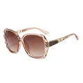 Champagne polarized sunglasses with oversized geometric frames and gold metal temple detail - Normal Lens / Champagne Gradient Tea