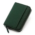 Portacarte a fisarmonica in pelle martellata verde scuro con cerniera e tasca - Verde Scuro