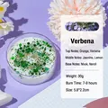 Verbena scented shell candle in glass jar with green glitter and dried herbs - Dried Flower Glitter / Green / Verbena