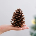 Grande pigna naturale essiccata tenuta in mano per decorazioni natalizie e fai da te - 8-10CM / Marrone Naturale (Pino Americano)