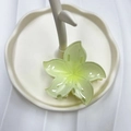 Translucent light green flower shark hair claw clip on a white leaf jewelry tray - Lemon Green (Five-point Flower)