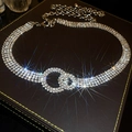 Detailaufnahme der silbernen Strass-Körperkette mit doppelten Ringen auf einer Schmuckbox - Doppelkreis-Quasten-Stil / Silber