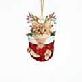 Süße getigerte Katze in rotem Weihnachtssocken Ornament mit Rentiergeweih zum Aufhängen - Getigerte Katze