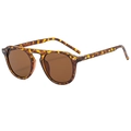 Retro tortoise shell sunglasses with brown lenses and metal rivet details in side view - Tortoise Shell Frame