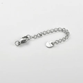Detailed view of silver stainless steel extension chain with lobster clasp and S.Steel tag - Round Tag / Silver