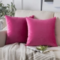 Set of two pink velvet throw pillow covers on a beige sofa in a cozy home setting - 33# Rose Red / 30*50cm Pillowcase (without Insert)