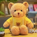 Embroidered Hoodie Style (Yellow) 30 cm