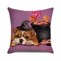 Detail of Halloween bulldog pillow cover showing vibrant witch hat and candy bucket design - Bulldog and Cauldron