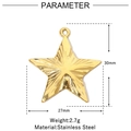 Detailed parameter display of gold star-shaped stainless steel pendant with dimensions - Radiant Star Pendant (VG969)