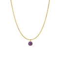 Collier doré avec pierre de naissance en zircon violet rond et serti à griffes - Février