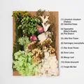 DIY dried flower kit with 11 varieties including hydrangea and baby's breath for crafts - Flower Pack A9
