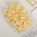 Preserved light yellow hydrangea petals in clear box for DIY crafts and floral design - 5g / Light Champagne