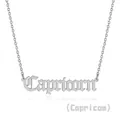 Detailed view of Capricorn zodiac pendant in cursive font on stainless steel chain - Capricorn (Steel Color)