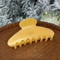 Macro detail of glossy yellow acetate hair claw clip with golden Barrette La France text - Pearlescent Yellow - Round Head 8-Tooth