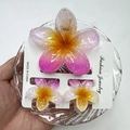 Detail of pink gradient frangipani hair claw set with glitter finish on a glass tray - First Love Snowflake Pink Set (with Card)
