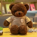 Sweater Bear - Coffee 30 Centimeters In Length