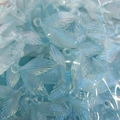 Bulk blue translucent glitter acrylic wing charms for DIY craft and keychain making - Luminous Glitter Fishtail Blue