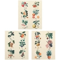 Set of 3 vintage botanical wall art prints featuring realistic fruit and vegetable illustrations - 30cm x 40cm / Three-Piece Set
