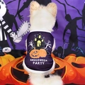 Gilet pour chien avec imprimé citrouille d'Halloween sur maille violette respirante - S / Maison Hantée