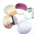 Cinq brosses à ongles en forme de coquillage avec poils en dégradé de couleurs variées - Les Petits Coquillages Sont Expédiés De Manière Aléatoire.