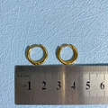 Gepolijste 18k gouden roestvrijstalen oorringen van 13mm met een handige sluiting - 2.0*10 Gouden Ring