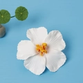 Realistische 10cm weiße Hibiskus-Haarklammer mit gelbem Stempel für Strandurlaub und Reisen - Nur Blütenkopf / Weiß