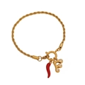 Golden twist chain bracelet with red chili charm and crystal letter F pendant - Letter F