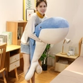 Large soft blue whale plush toy being held by a young model in a cozy bedroom scene - 50cm Zipper Removable and Washable Style / Blue