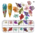 Fleurs séchées pour nail art en boîte 12 grilles style 02 aux pétales variés - Série Colorée Vibrante (NDF-21-02)