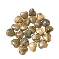 Natural heart-shaped stones with brown and beige texture on a clean white background - Jasper