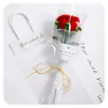 Handmade red chenille stem rose flower with transparent gift bag and gold string - Finished with Gift Bag-Bright Red