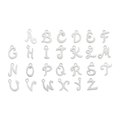 Set of 26 silver stainless steel letter charms A-Z with jump rings on white background - Letter B / Steel Color